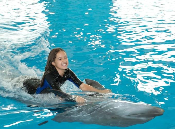 dubai dolphinarium