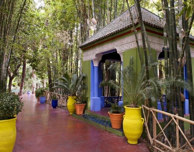 The Way of Cafe Majorelle
