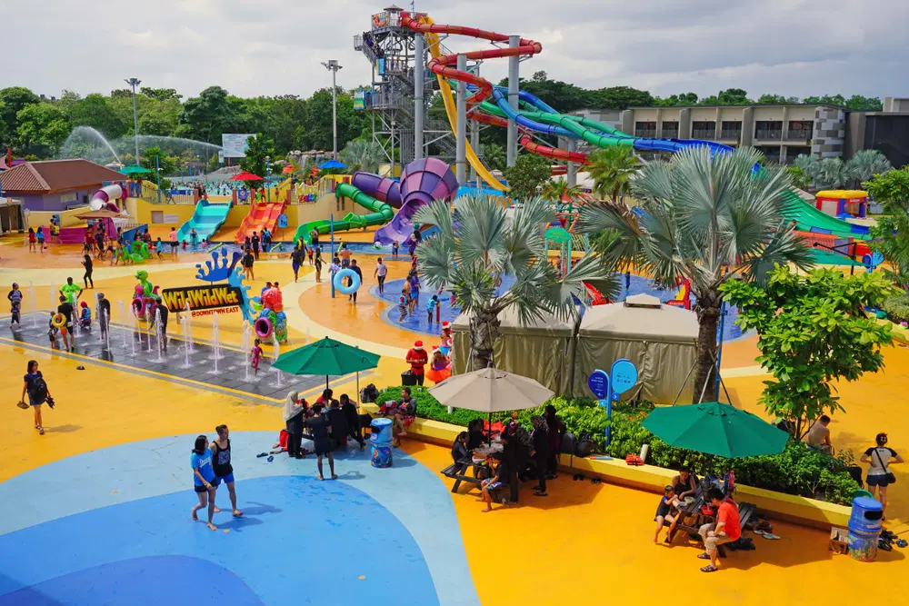 Professor's Playground