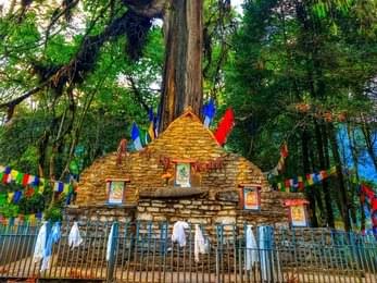 Explore Coronation Throne & Sacred Pine