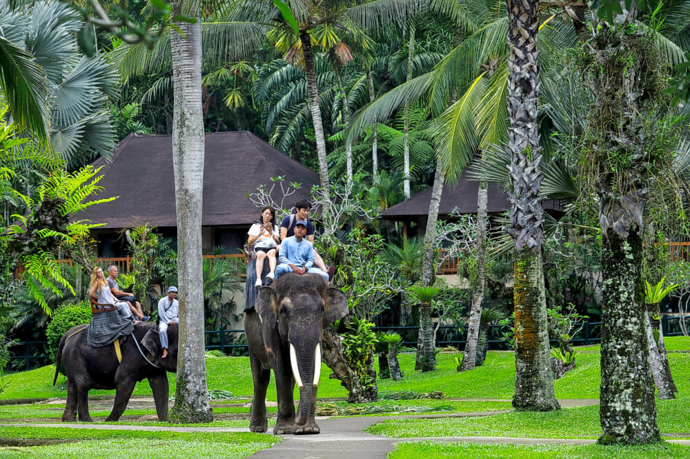 Fully Loaded Indonesia Family Tour Package with FREE Bali safari