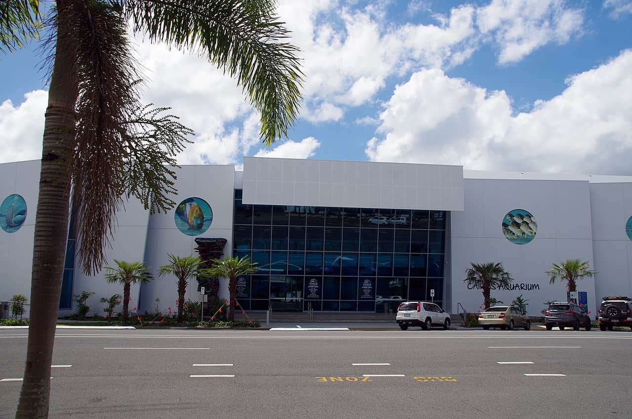 Cairns Aquarium, <em>Cairns</em>