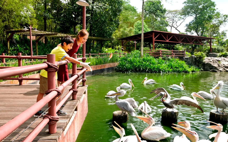 Enjoy feeding the different species of birds at the park
