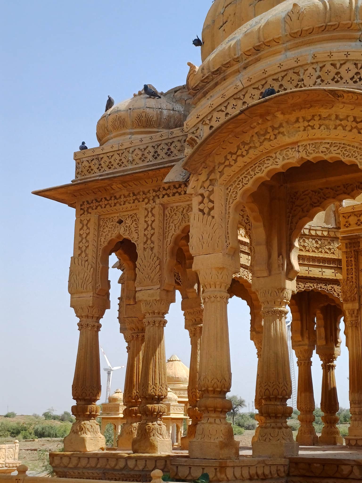 Photo from Vindhya Mohanan's trip