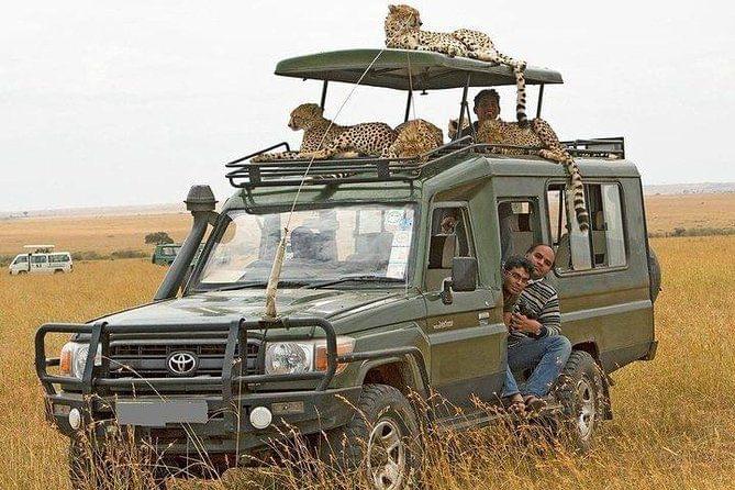 Private Safari