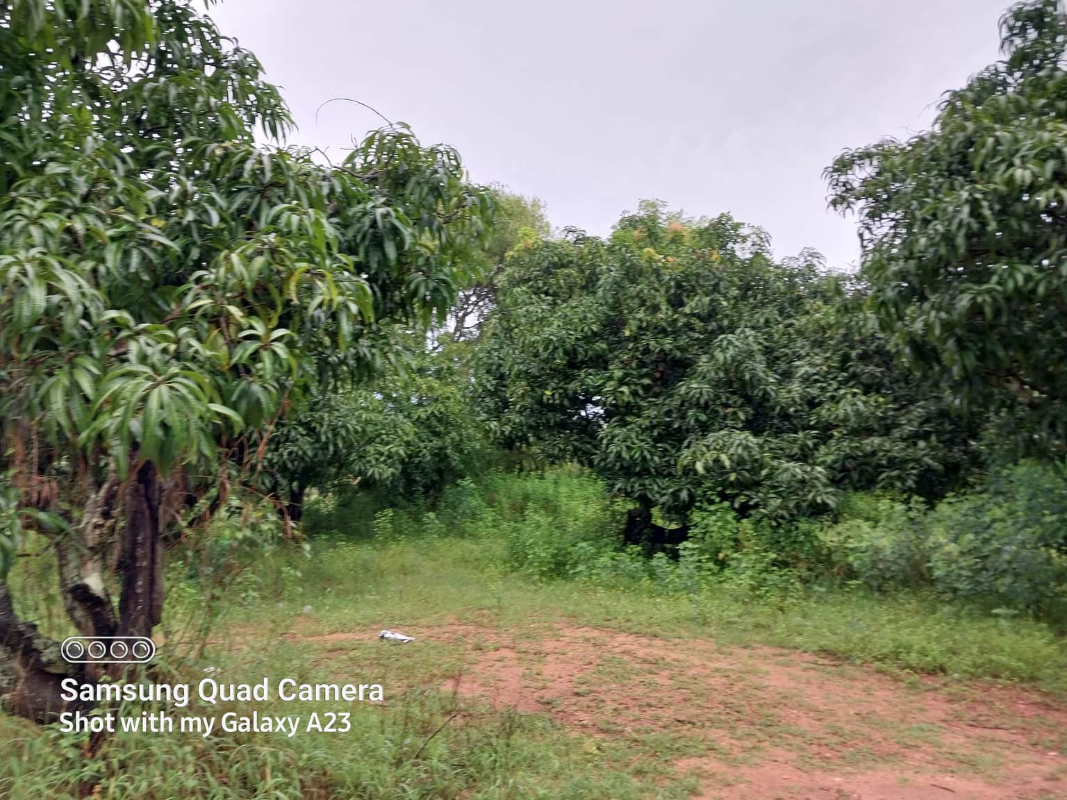 Photo from soumya mj's trip