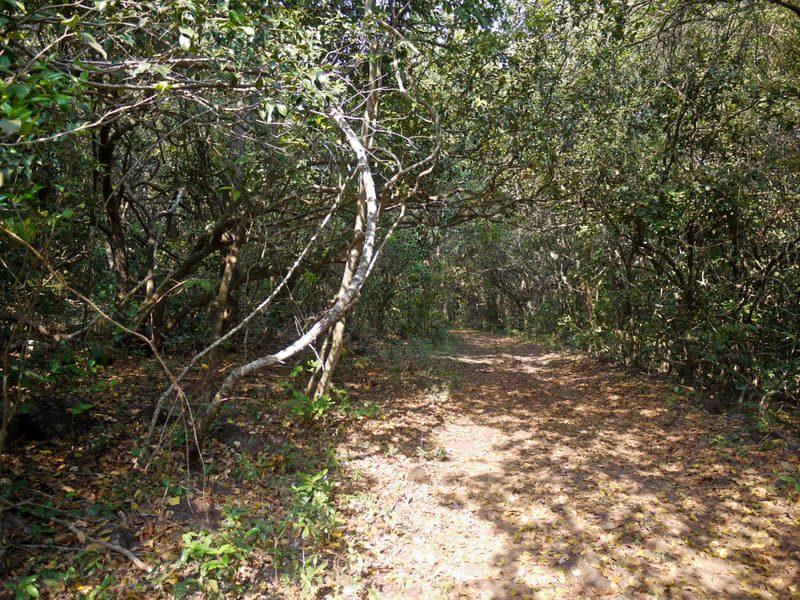 Phansad Wildlife Sanctuary Image