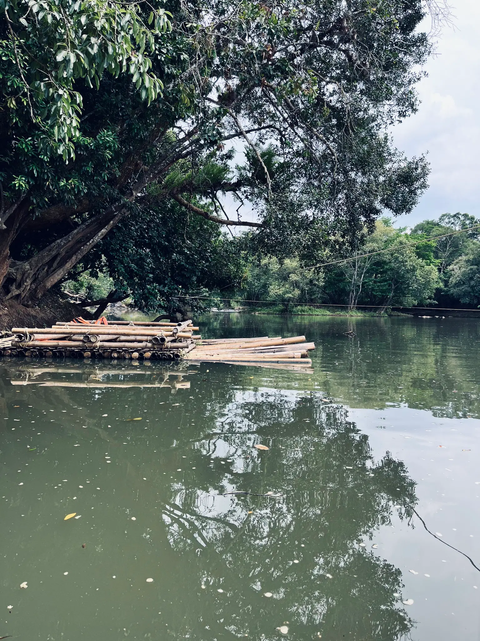 Photo from Pragati Pragati's trip