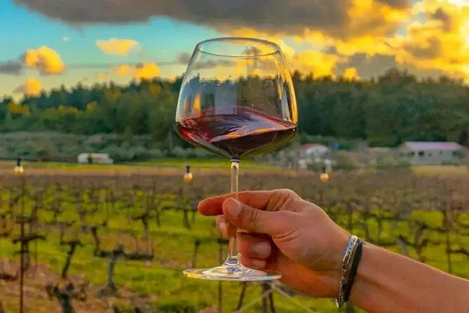 Sip Wine at Local Vineyards