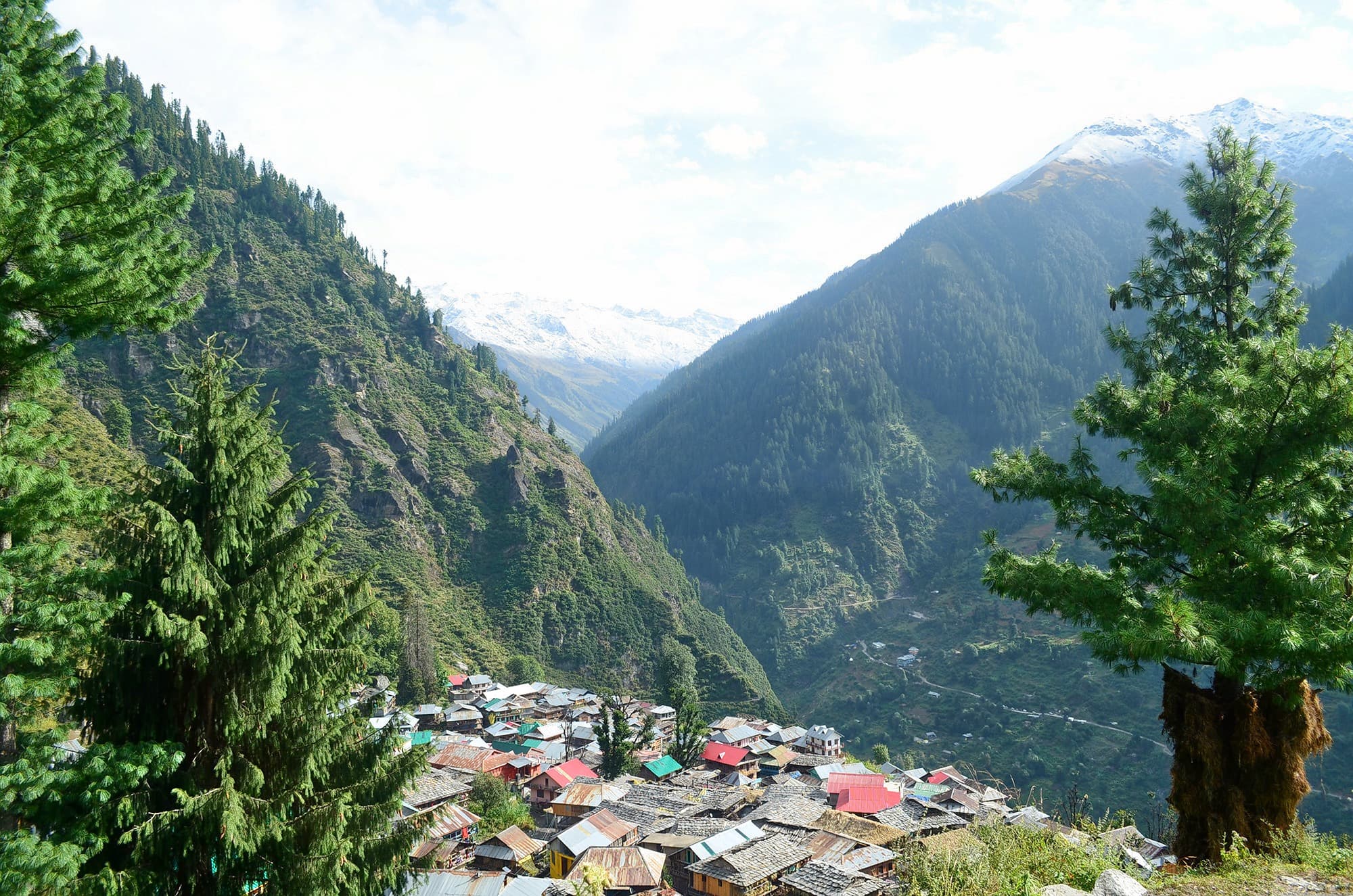 Kasol To Malana Trek #4
