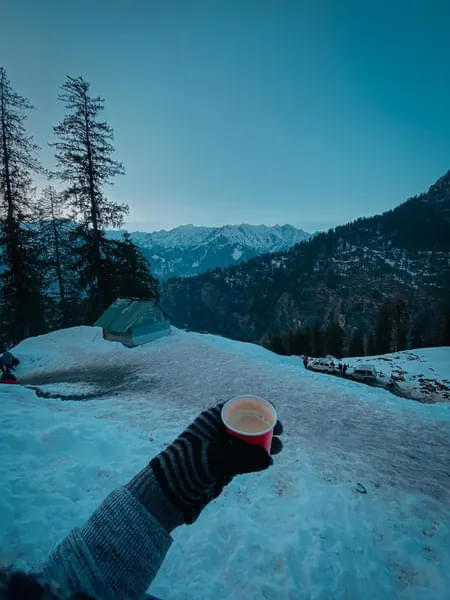 How can someone miss Tea in Mountains