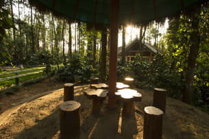 0iygd7tywj5dpiif93q19l5zmrkl coffeegroveresort 35