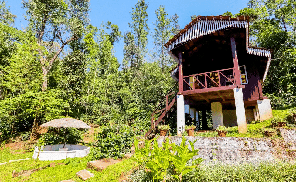 Top Rated Exclusive Homestays In Chikmagalur