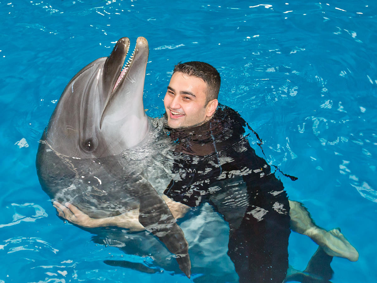 Swim with Dolphins at Dubai Dolphinariums