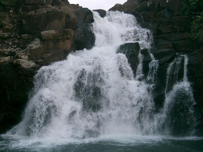 One Day Trip to Bhimashankar from Pune Image