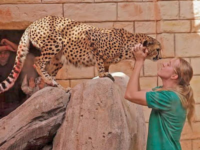 Get friendly with the amazing leopards