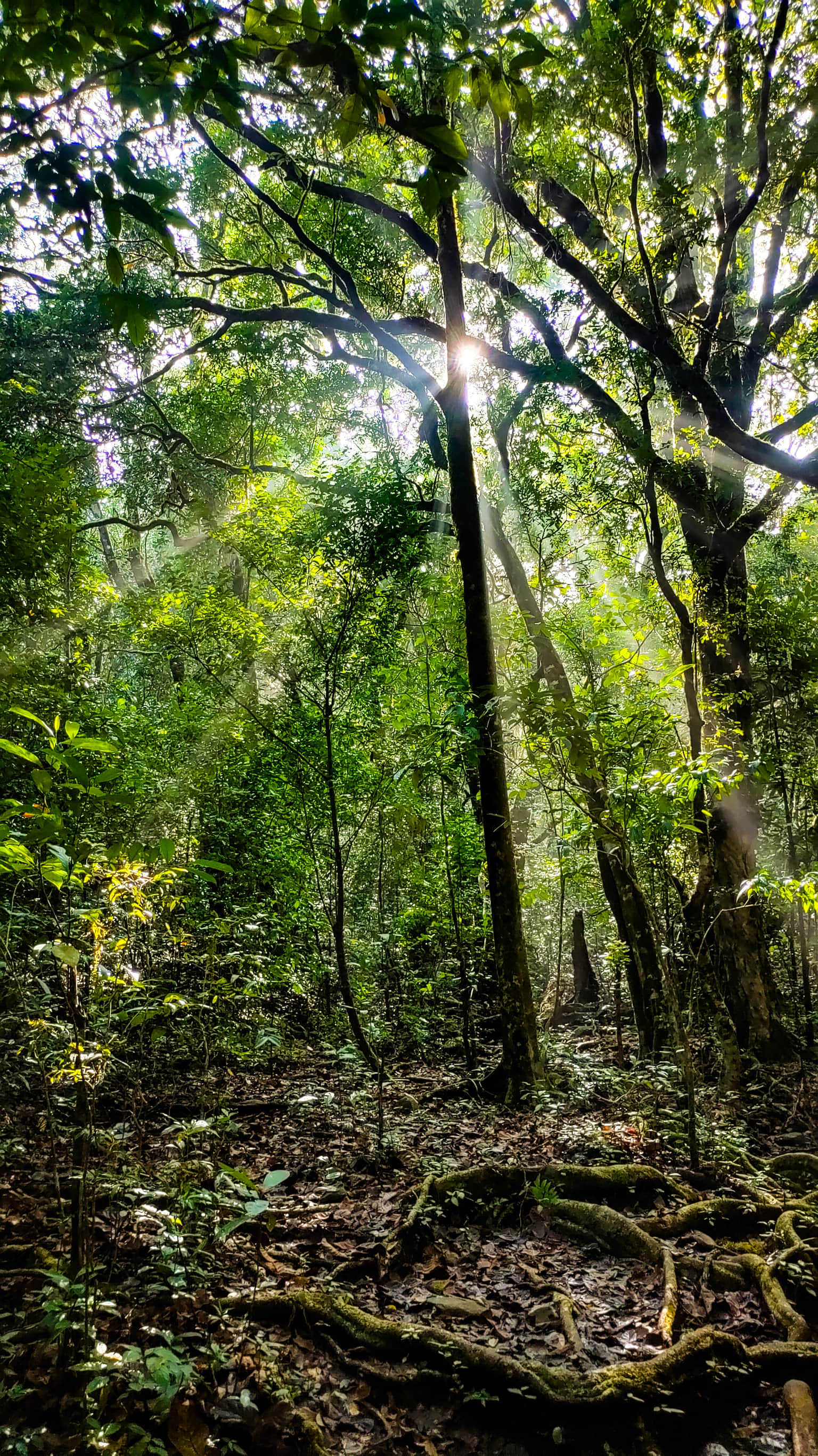 Photo from Lalith Harish's trip
