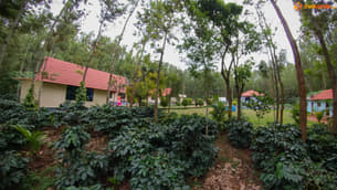 0k1a2uxnv7f87woa4nczqlyqpsqh 28 %20cf