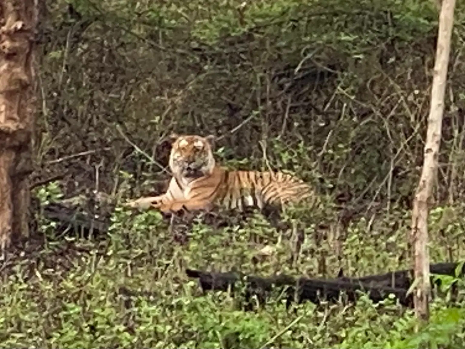 Photo from Yogish  H's trip