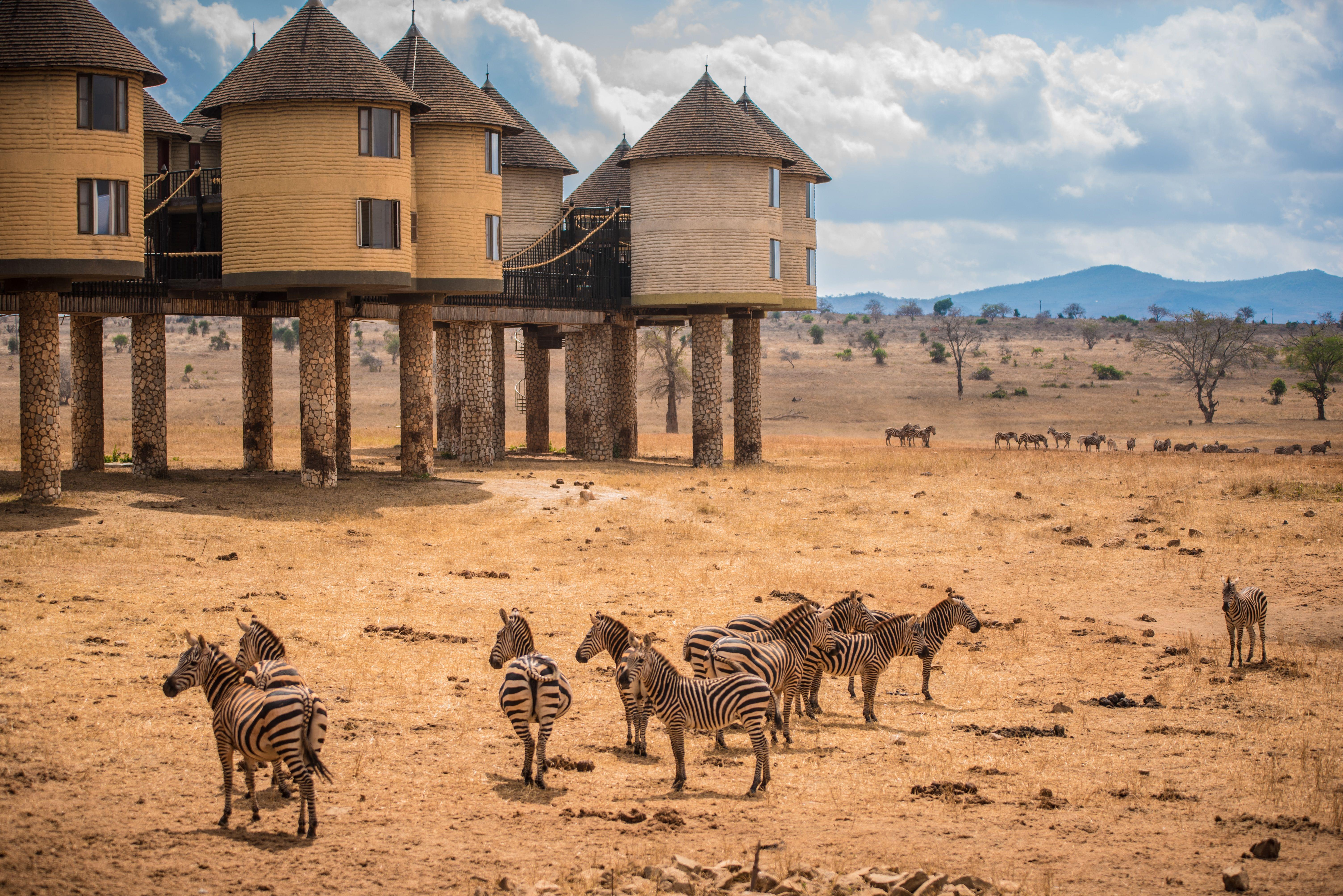 Namibia safari lodge
