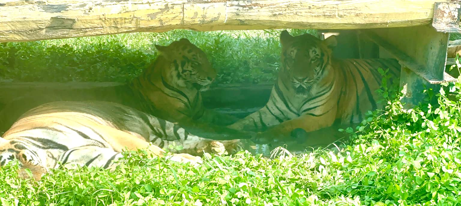 Photo from dhwani dhwani's trip