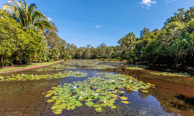 Cairns Botanic Gardens