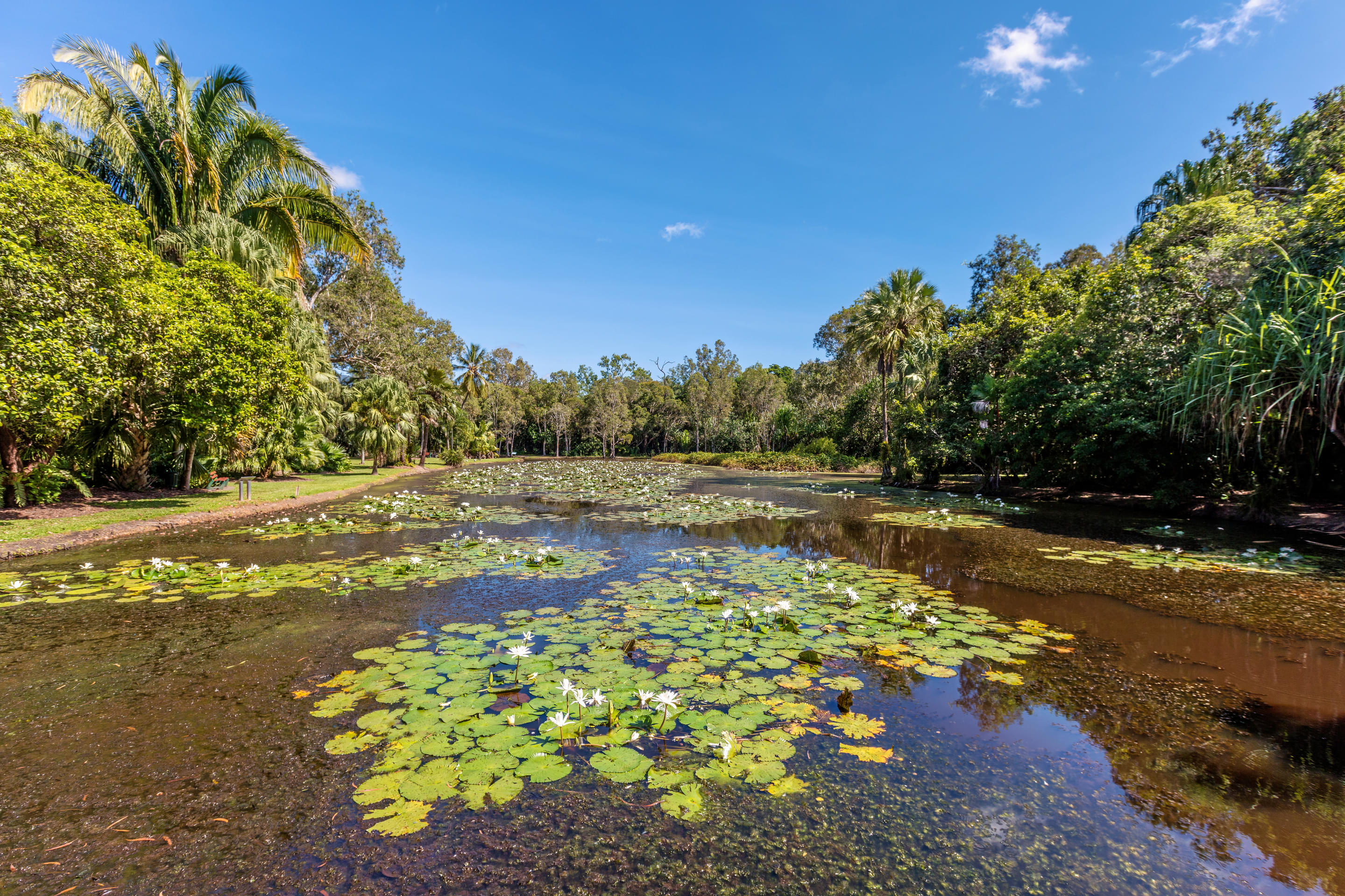 Cairns Botanic Gardens Overview
