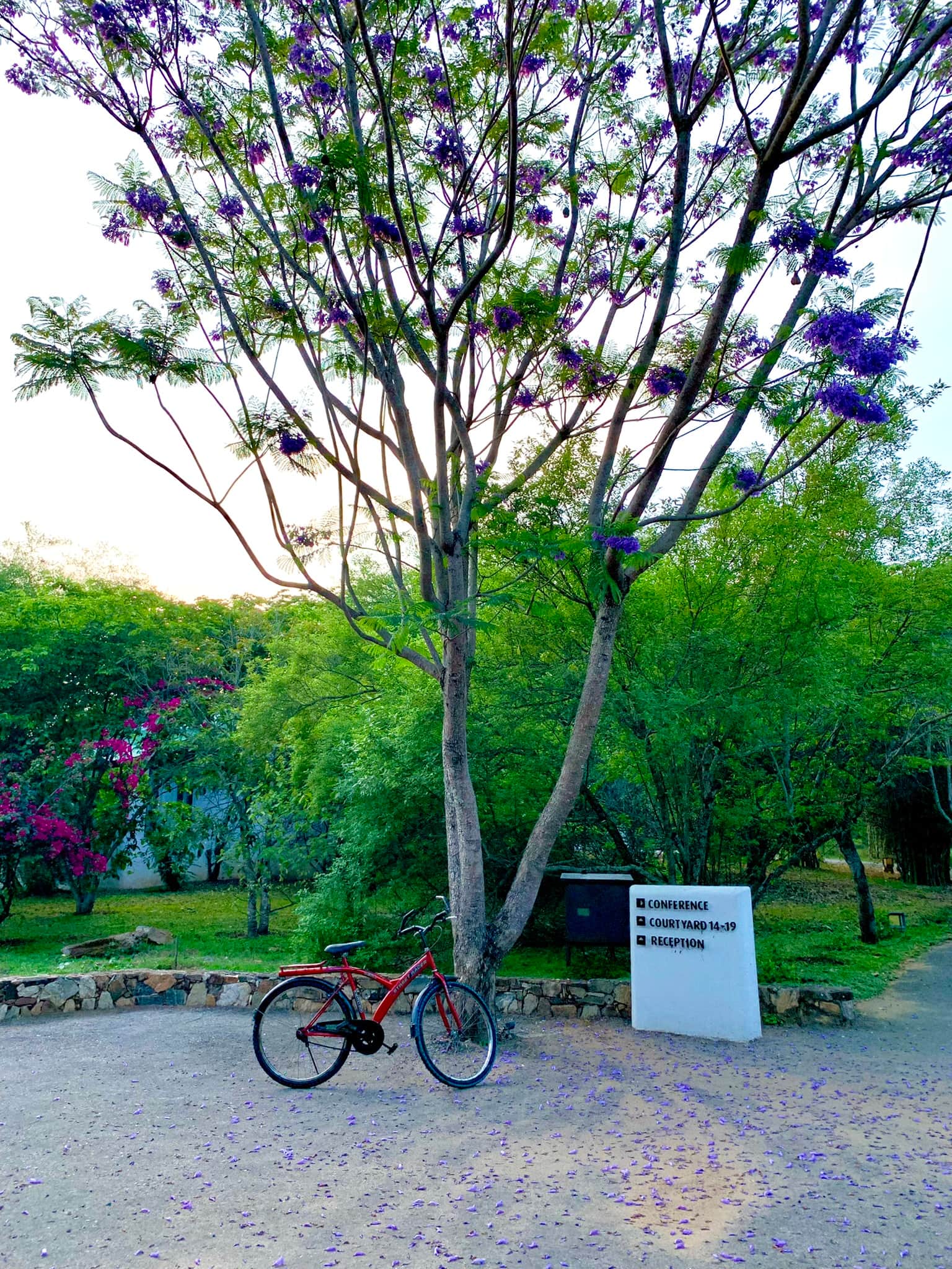 Photo from Shishira Naik's trip