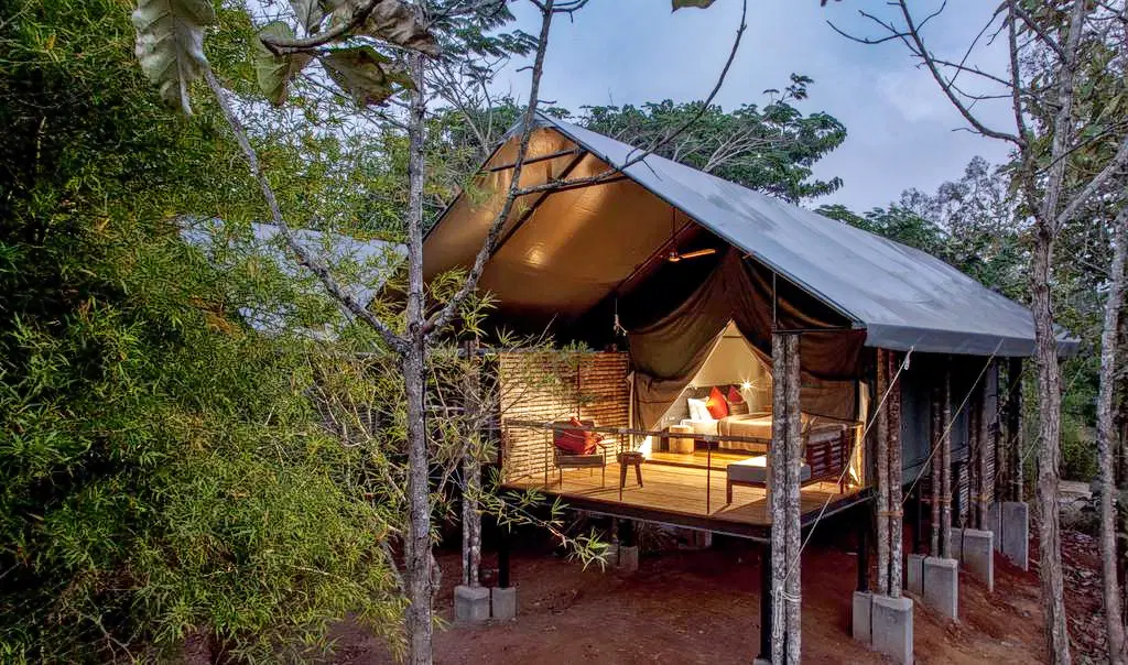 Stay In Wildlife Resort