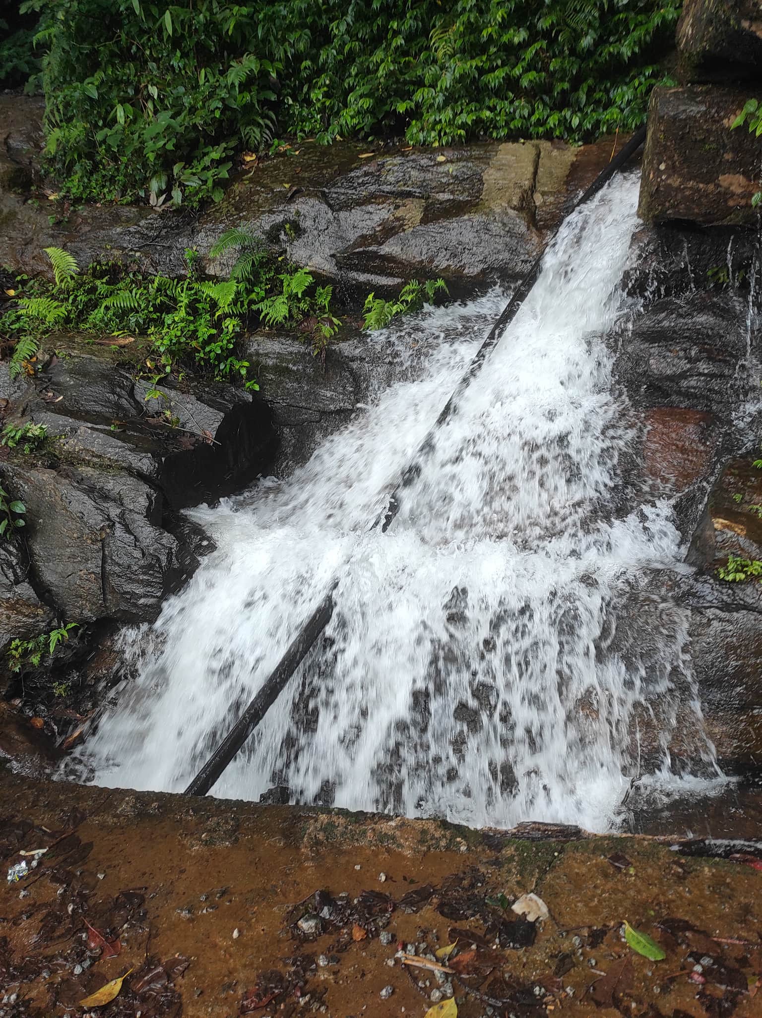 Photo from Jayalakshmi b's trip