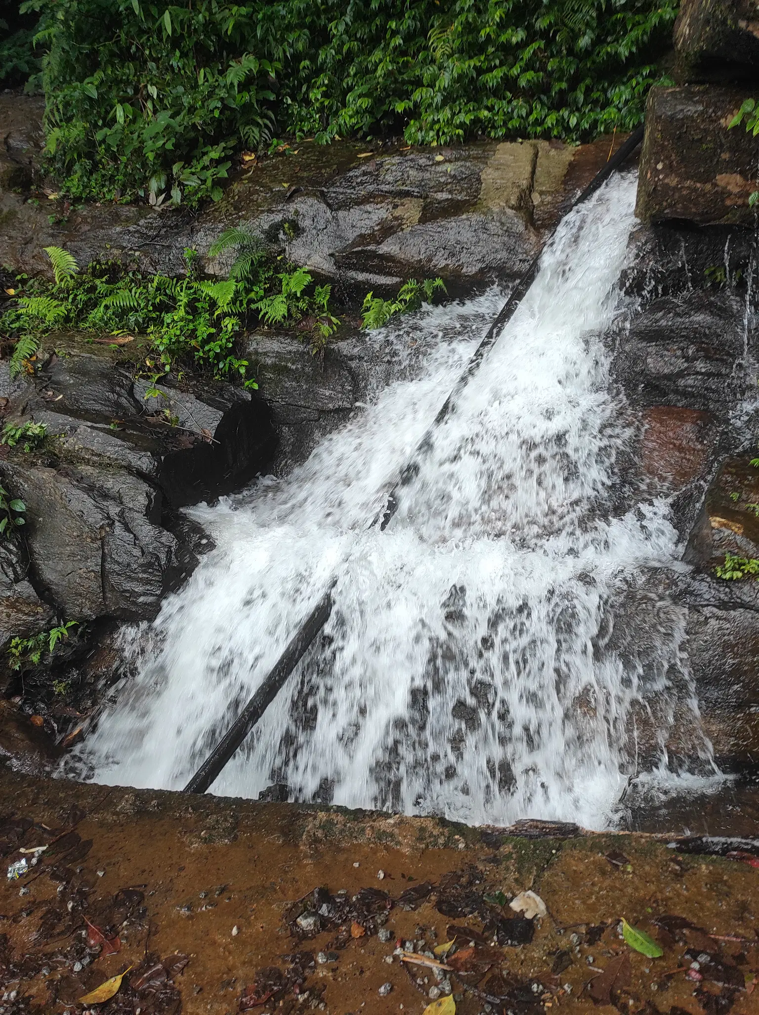 Photo from Jayalakshmi b's trip