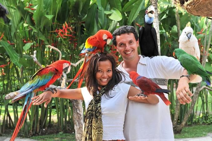 People taking pictures with birds