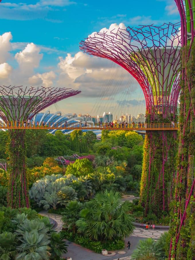 Express Pass Universal Studios Singapore Tickets