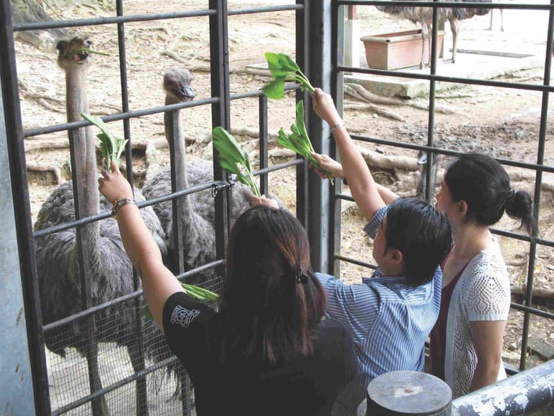 Kuala Lumpur Bird Park Tickets Image