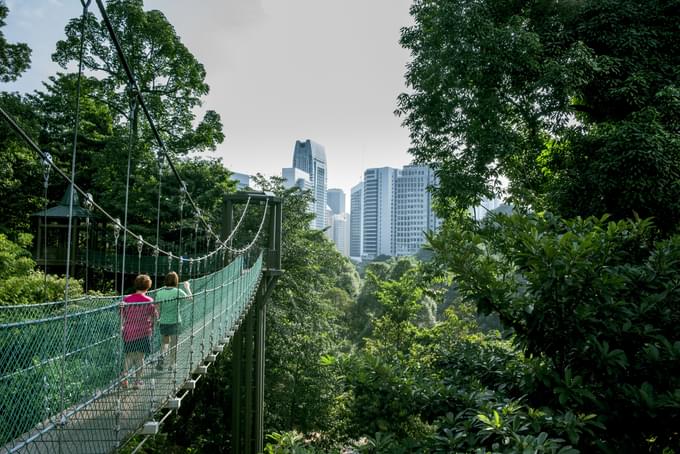 Canopy Walk.jpg