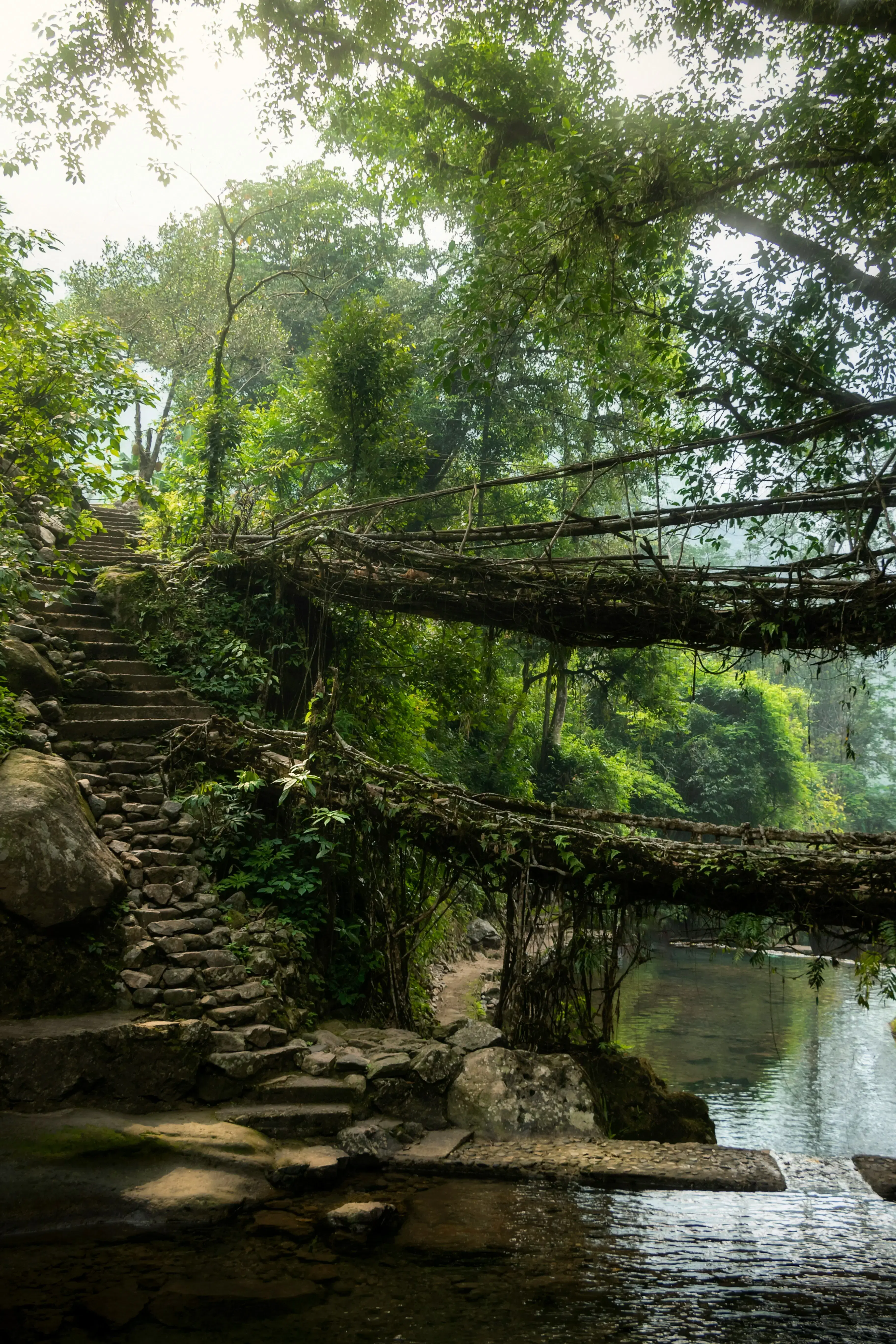 Meghalaya Packages from Bhopal | Get Upto 40% Off