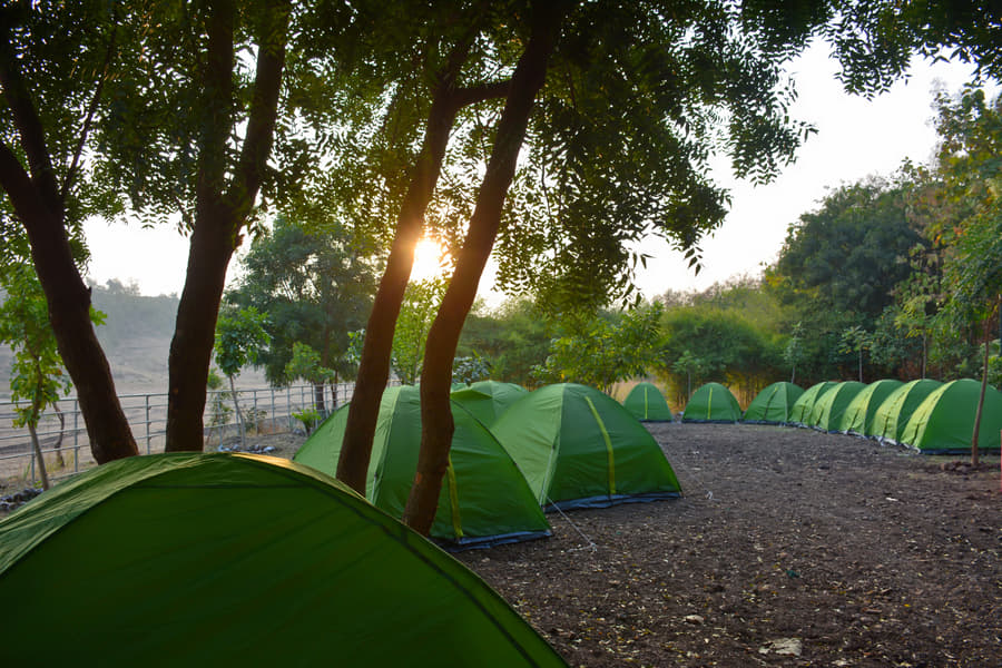 Overnight Camping at Patalpani, Indore Image
