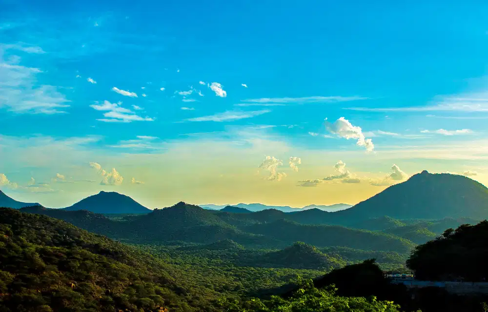 Chennai to Yelagiri Tour Package