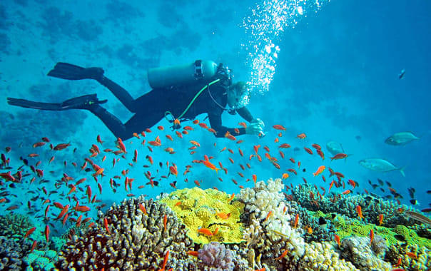 Andaman Activity Package 5 Nights 6 Days Image