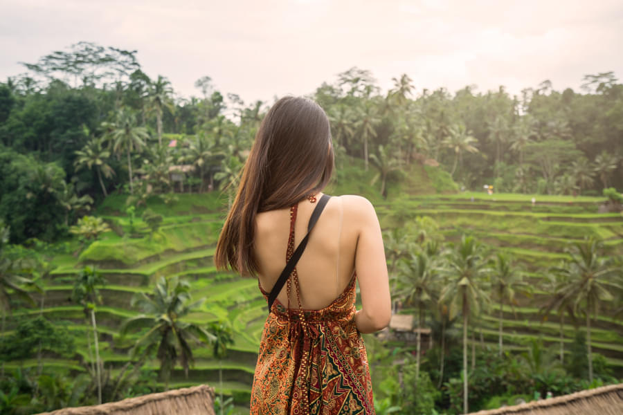 Bali Instagram Tour Image