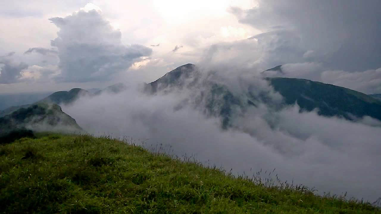 Nishani Motte, <em>Coorg</em>