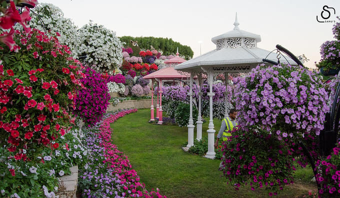 Butterfly Garden