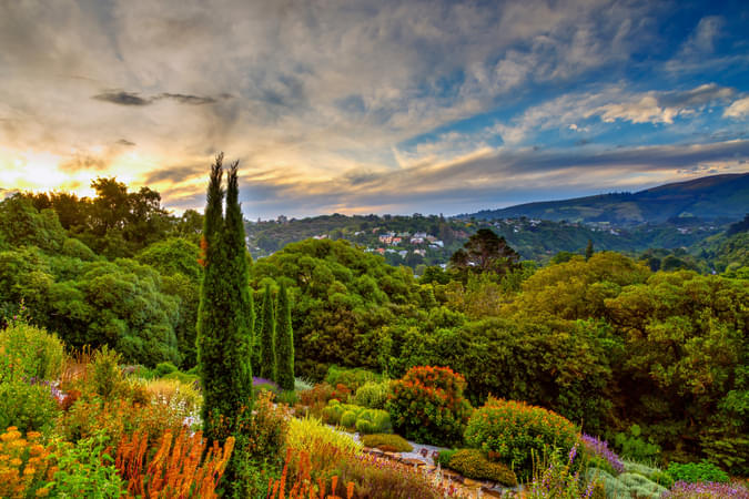 Dunedin Botanic Garden