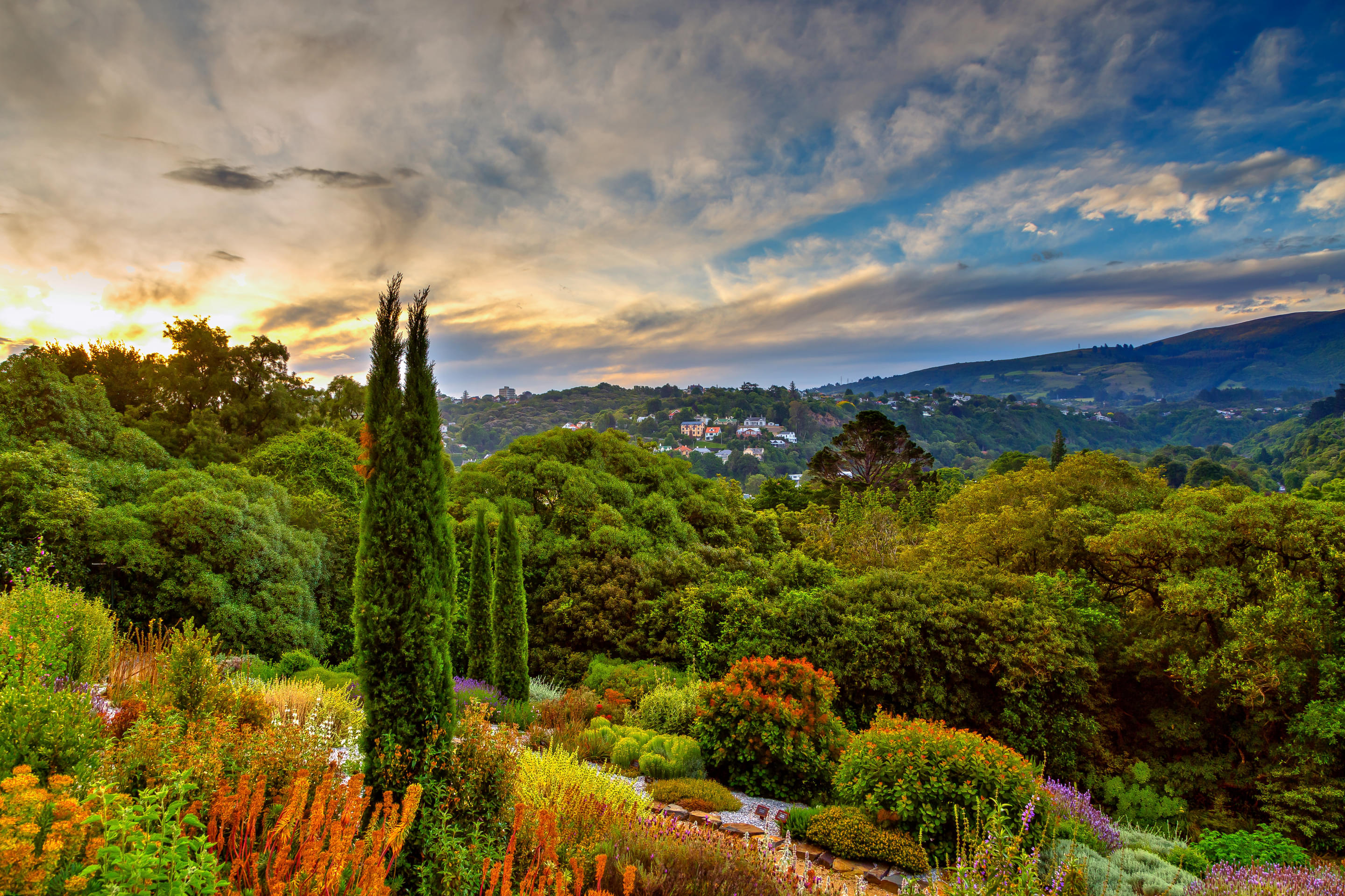 Dunedin Botanic Garden Overview