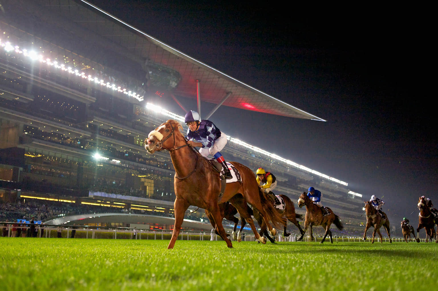 Meydan Racecourse, <em>Dubai</em>