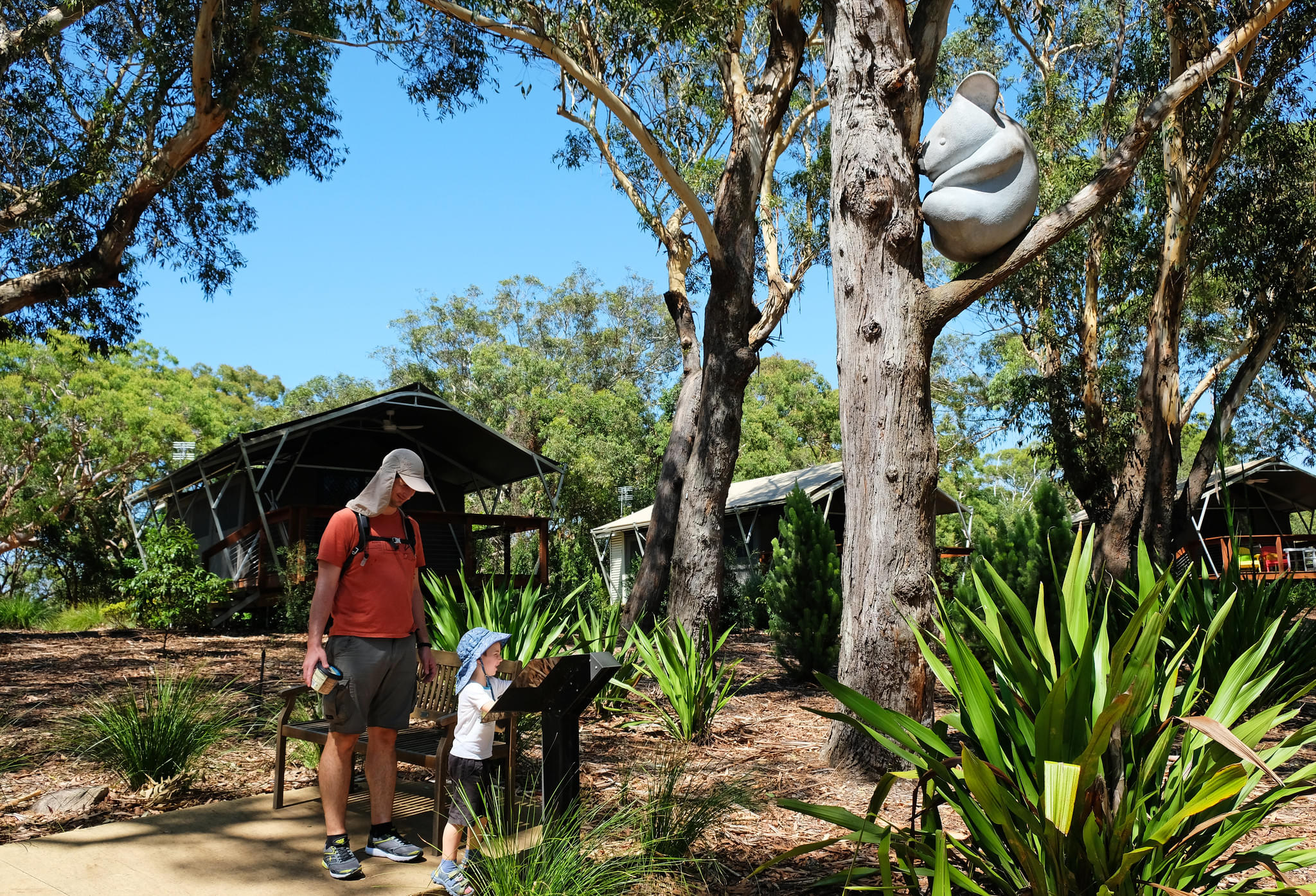 Port Stephens Koala Sanctuary Overview