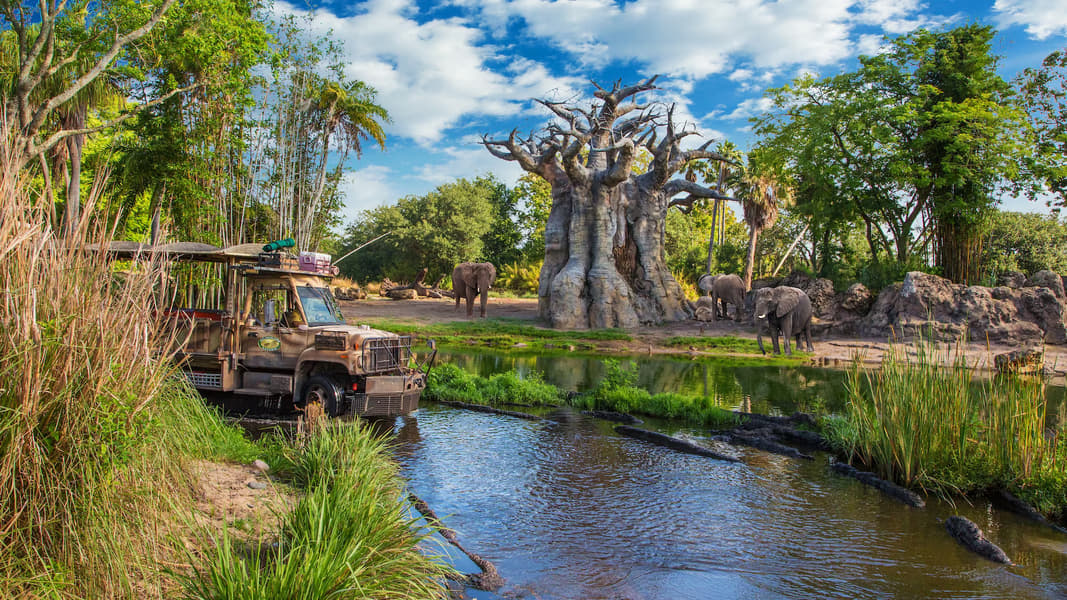 Disney's Animal Kingdom Tickets Image