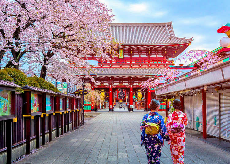 The Instagrammable Japan | Cherry Blossom Special Image