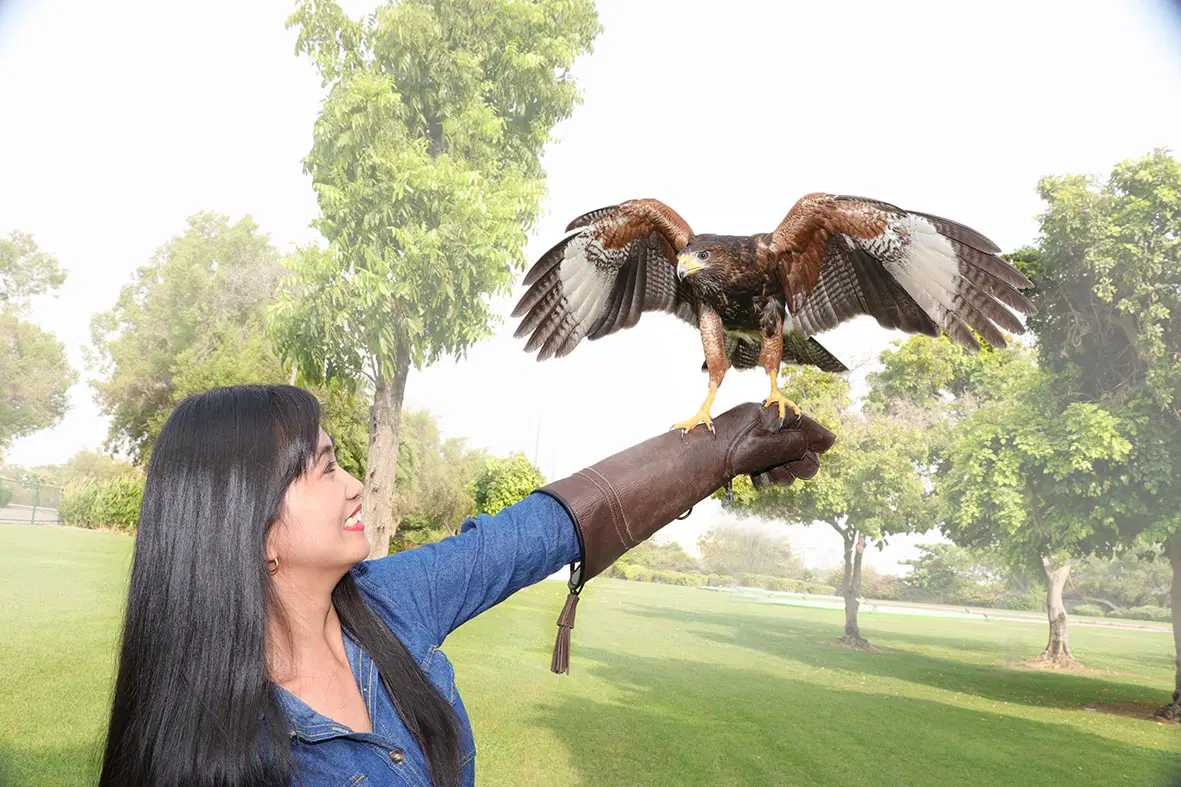 Creek Park Exotic Bird Show