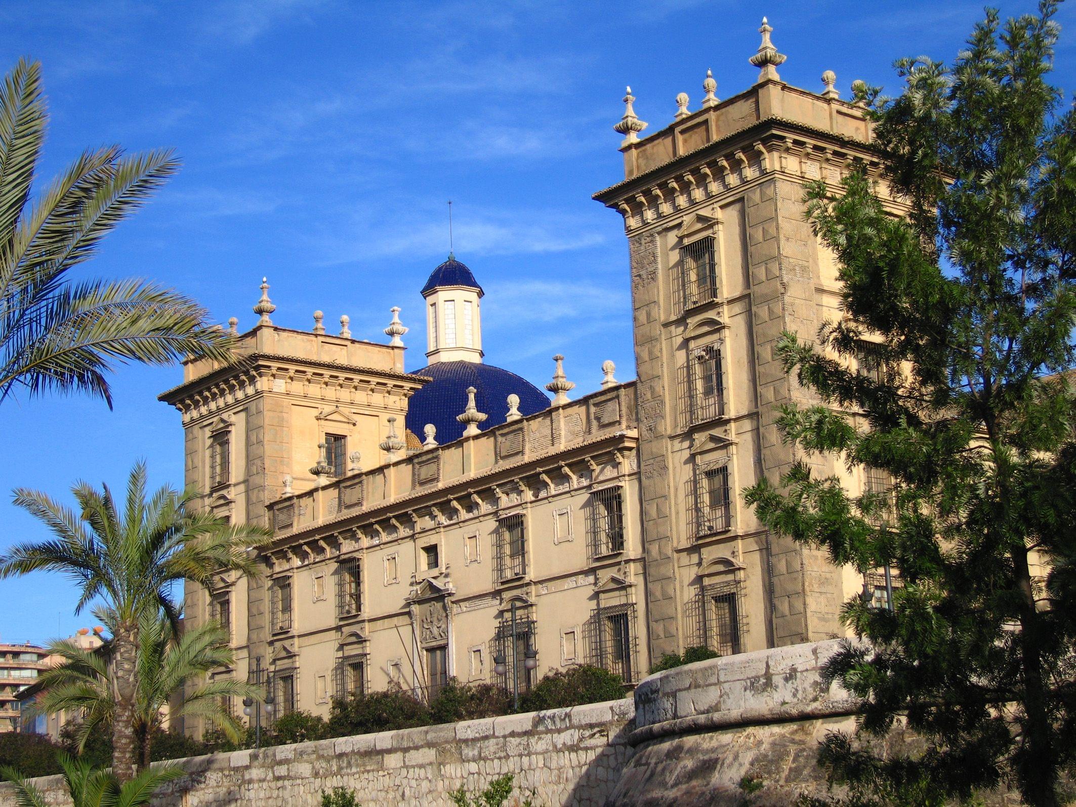 Museum Of Fine Arts Of Valencia